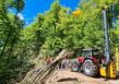 Skyline System for Efficient and Sustainable Logging