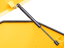 Gas shock absorbers for the lid