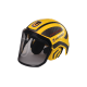 Forestry Safety Helmet