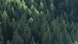 Sustainability