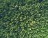 Preserving the Environment for Future Generations